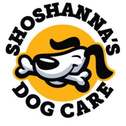 cropped-Shoshanna-Round-Logo-social-media-profile-pics